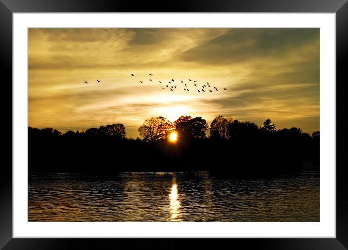 Dream of a Sunset Framed Mounted Print by Mary Lane