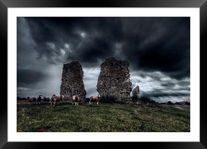  A New Flock Framed Mounted Print by Nigel Bangert