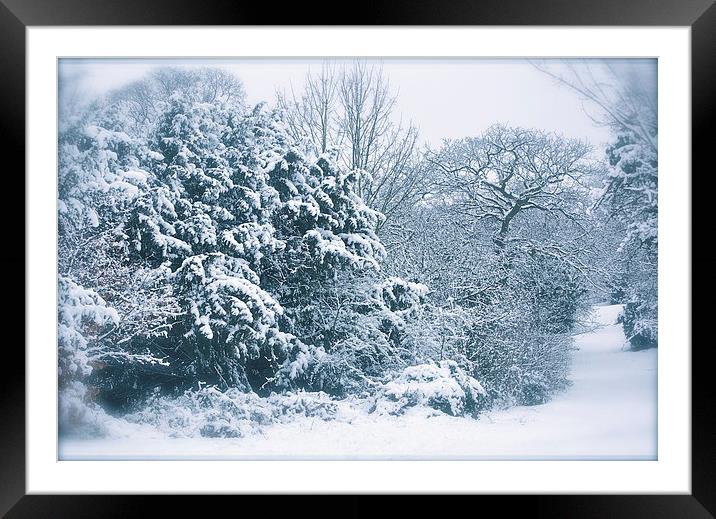  Let it snow Framed Mounted Print by sylvia scotting
