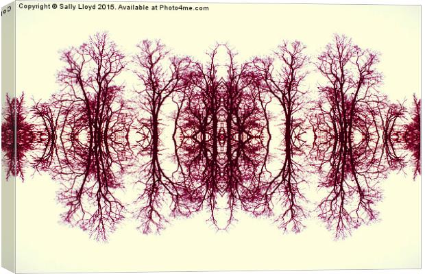  Symmetry Trees Red Canvas Print by Sally Lloyd