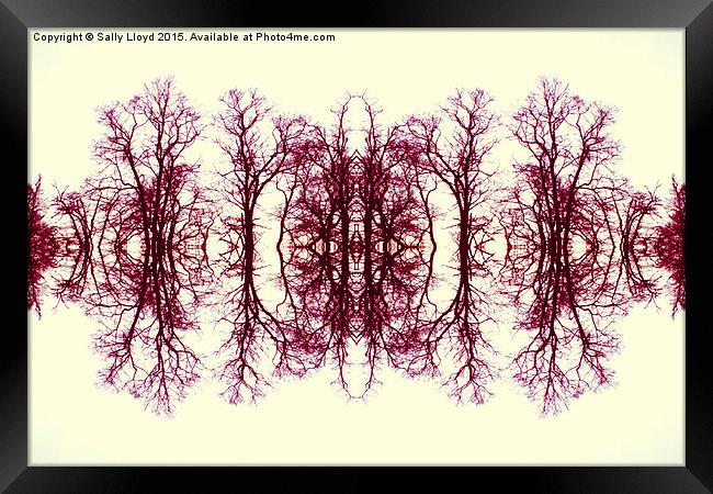  Symmetry Trees Red Framed Print by Sally Lloyd