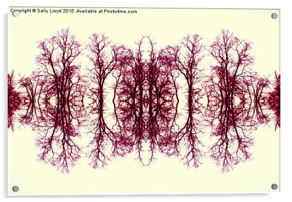  Symmetry Trees Red Acrylic by Sally Lloyd