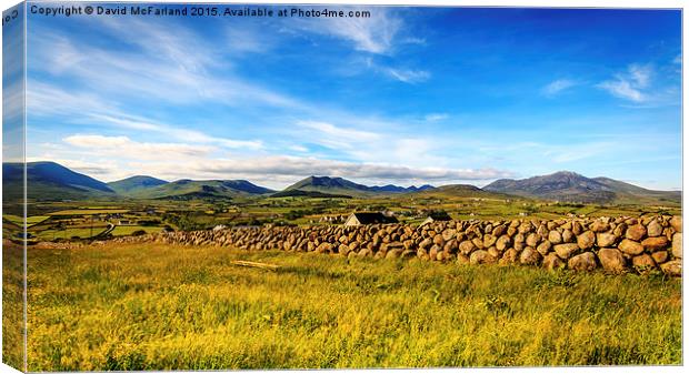  The Kingdom of Mourne Canvas Print by David McFarland