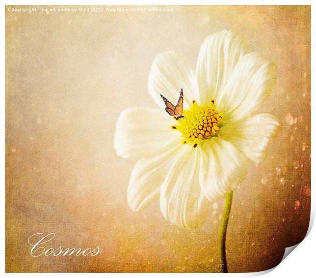  Cosmos Print by Fine art by Rina