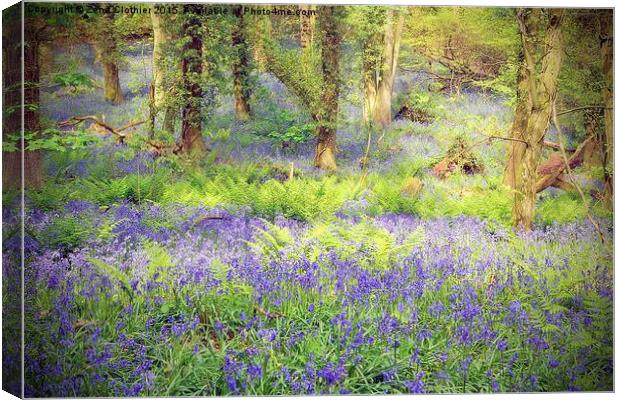  Painted Bluebell Wooded Carpet Canvas Print by Zena Clothier