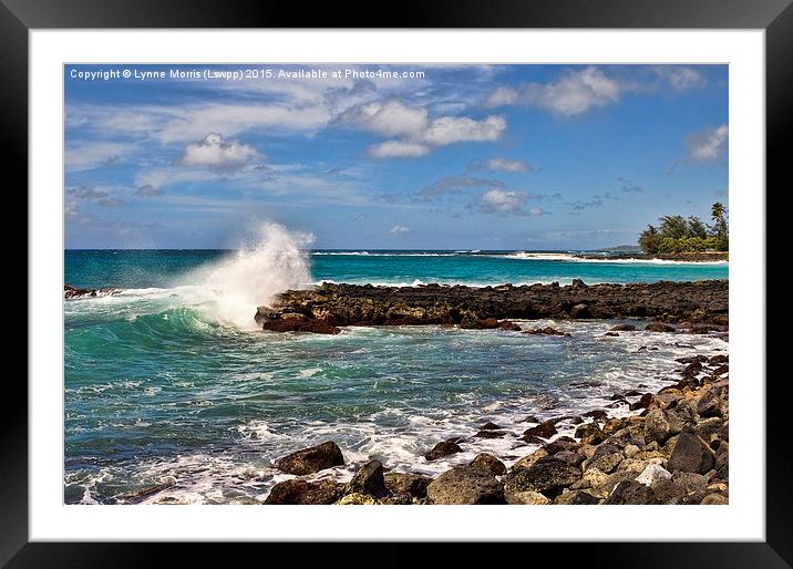  Hawaiian Splash Framed Mounted Print by Lynne Morris (Lswpp)
