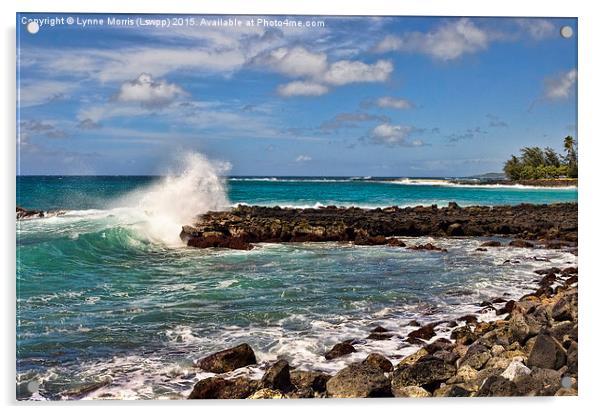  Hawaiian Splash Acrylic by Lynne Morris (Lswpp)