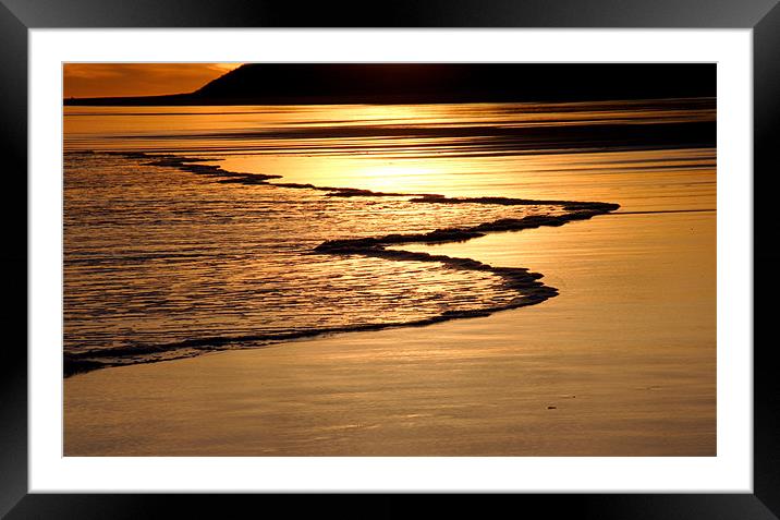 Golden tide Framed Mounted Print by Gail Johnson