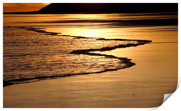 Golden tide Print by Gail Johnson