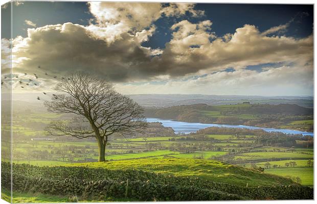 A view of Tittesworth Reservoir  Canvas Print by Andy Evans