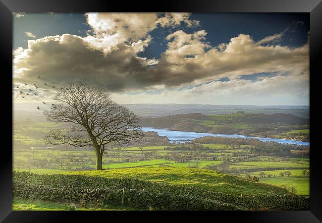 A view of Tittesworth Reservoir  Framed Print by Andy Evans