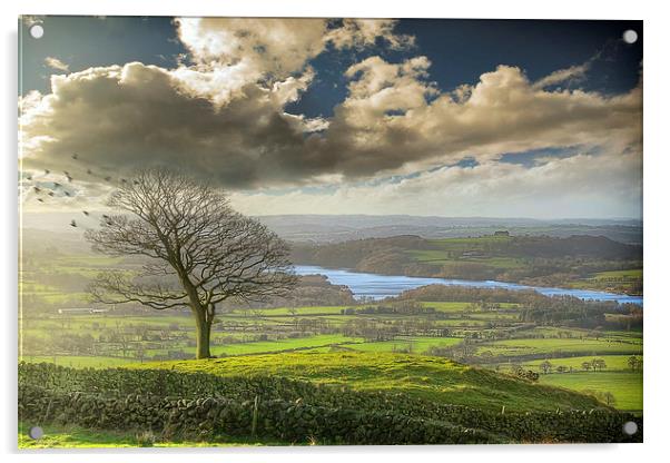 A view of Tittesworth Reservoir  Acrylic by Andy Evans
