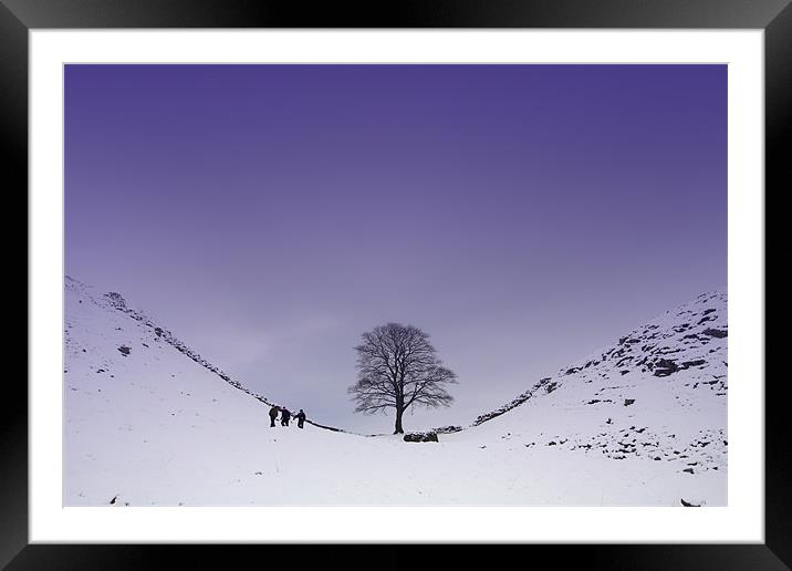 Sycamore Gap Framed Mounted Print by Gail Johnson