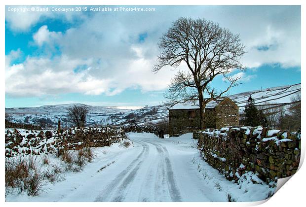  Walking In A Crackpot Wonderland Print by Sandi-Cockayne ADPS