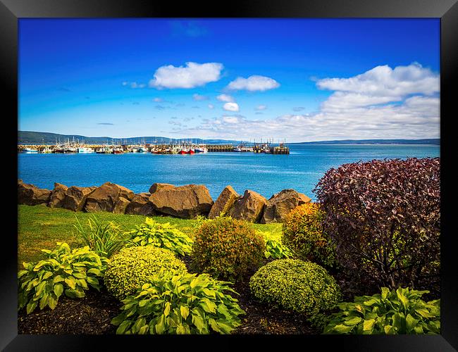 Seafront and Harbour, Digby, Nova Scotia, Canada Framed Print by Mark Llewellyn
