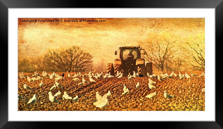  Tractor vintage style Framed Mounted Print by Sally Lloyd