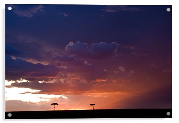 Masa Mara Sunset Acrylic by Gail Johnson