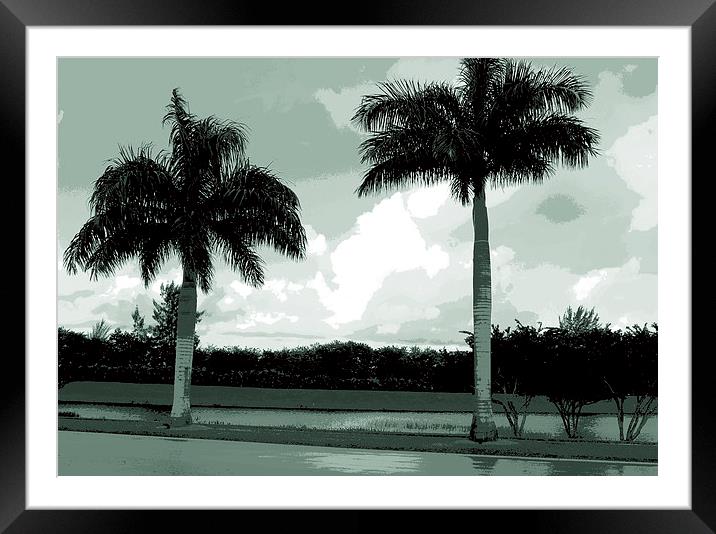  Two Palms Framed Mounted Print by james balzano, jr.