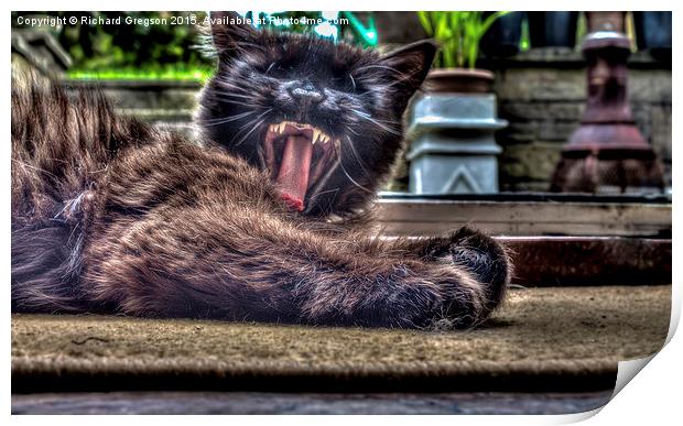  Tired Cat Print by Richard Gregson