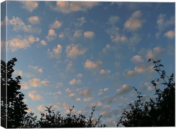 Summer fair weather clouds Canvas Print by Chris Day