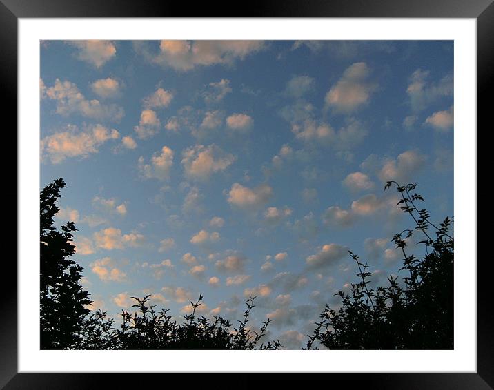 Summer fair weather clouds Framed Mounted Print by Chris Day