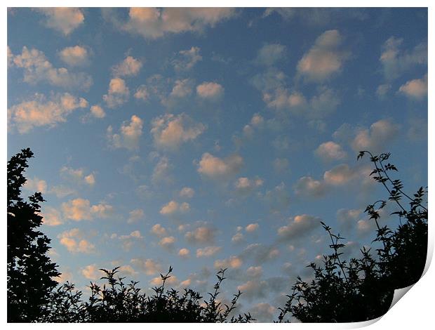Summer fair weather clouds Print by Chris Day