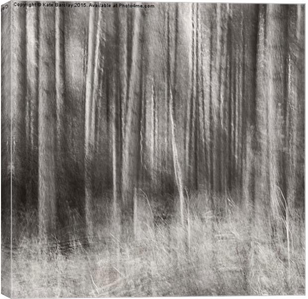  Forest Light Canvas Print by Kate Barclay
