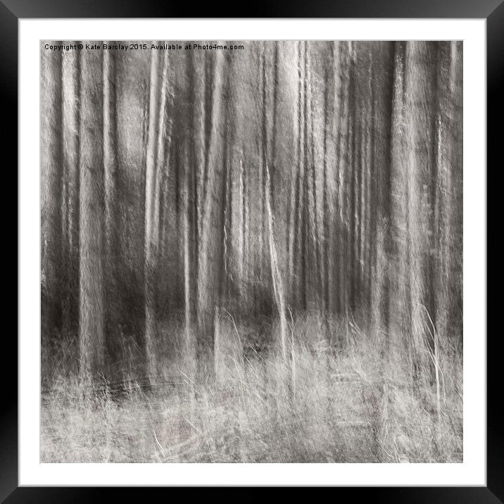  Forest Light Framed Mounted Print by Kate Barclay