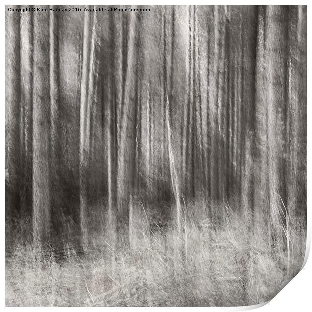  Forest Light Print by Kate Barclay