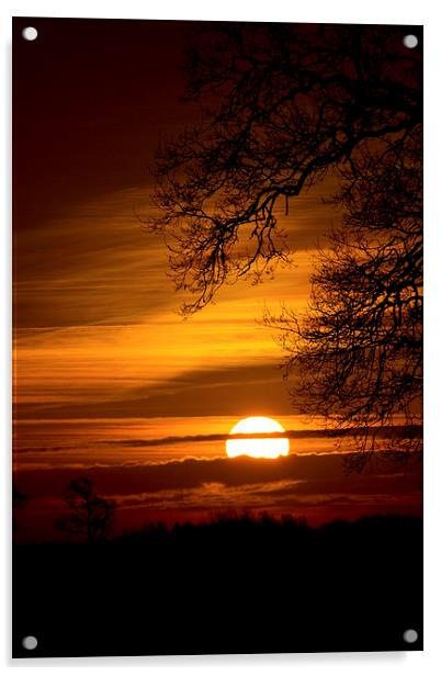 Winter Sunrise Acrylic by Darren Burroughs
