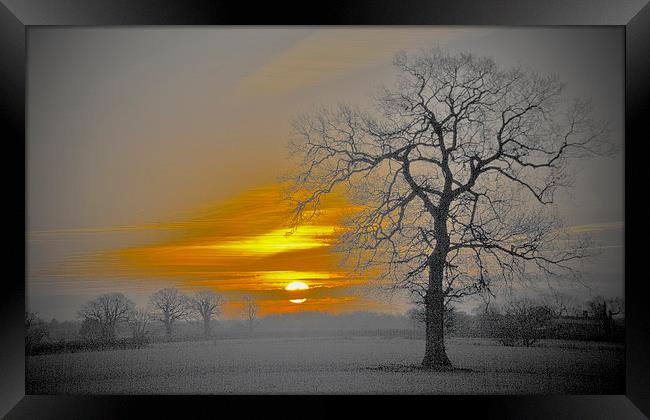 Nuclear Sunrise  Framed Print by Darren Burroughs