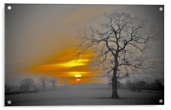 Nuclear Sunrise  Acrylic by Darren Burroughs