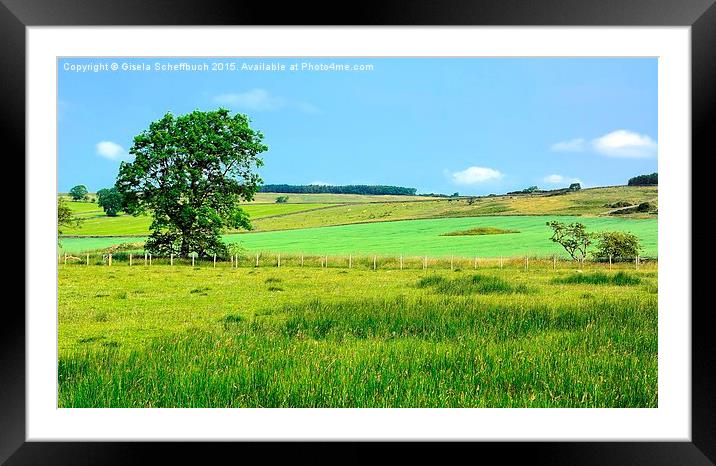  Northumberland Scenery Framed Mounted Print by Gisela Scheffbuch