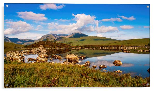  bonnie Scotland Acrylic by stephen king