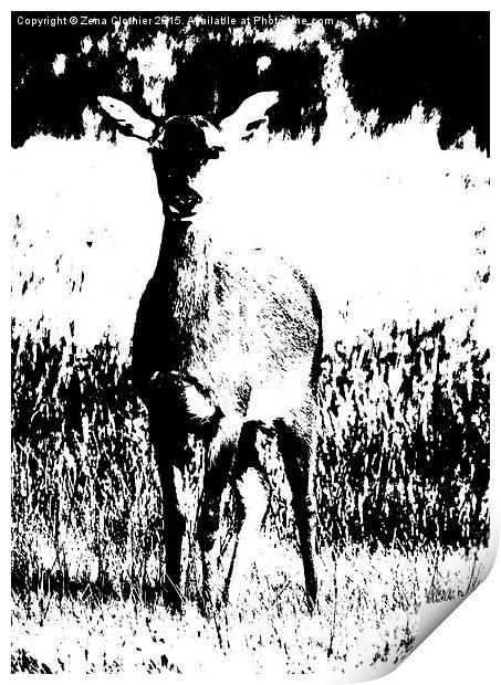  Baby Deer Print by Zena Clothier