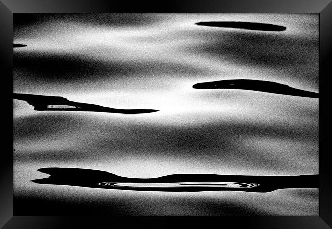 Mono waves   Framed Print by Maggie Railton