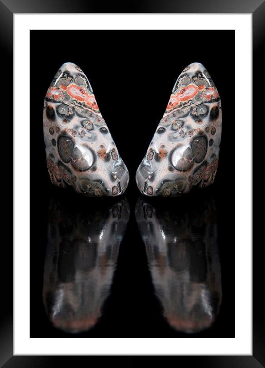 Rock Butterfly Framed Mounted Print by Ivan Kovacs