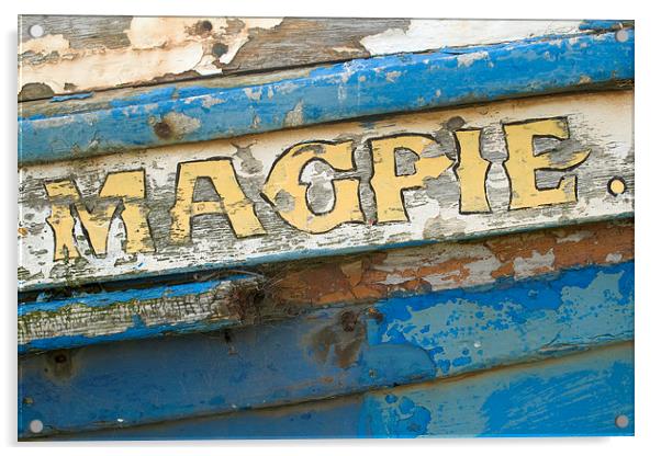  Magpie Acrylic by Ivan Kovacs