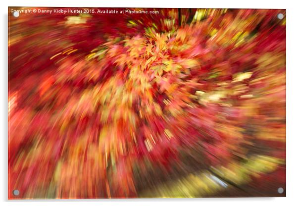  Autumn Burst Acrylic by Danny Kidby-Hunter