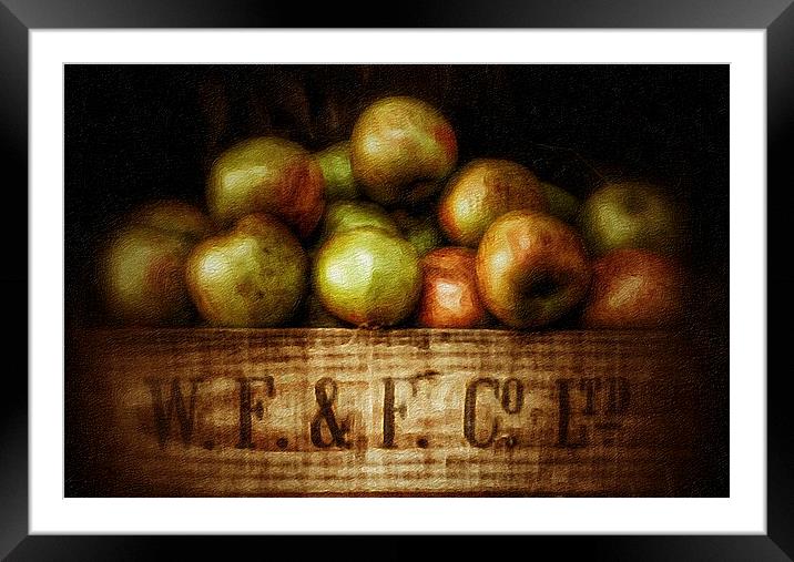 Painted Apples in Crate Framed Mounted Print by Scott Anderson