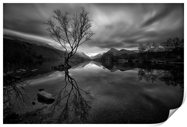  Dark Reflections Print by Jed Pearson