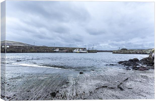  St Abbs Harbour Canvas Print by Alan Whyte