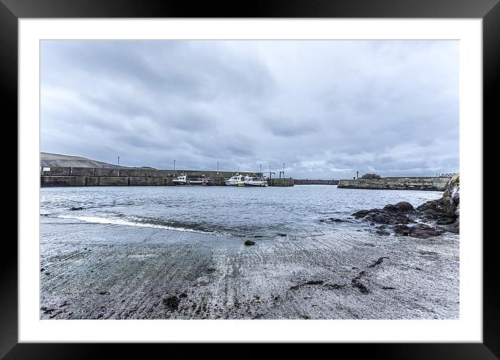  St Abbs Harbour Framed Mounted Print by Alan Whyte