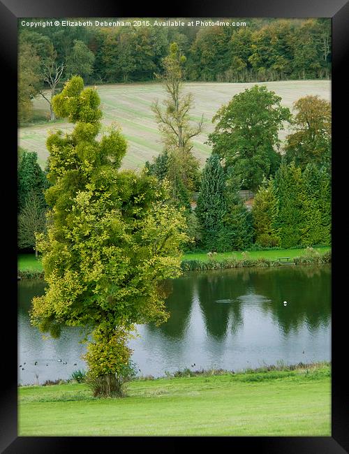  Mistletoe Tree by River Chess at Latimer. Framed Print by Elizabeth Debenham