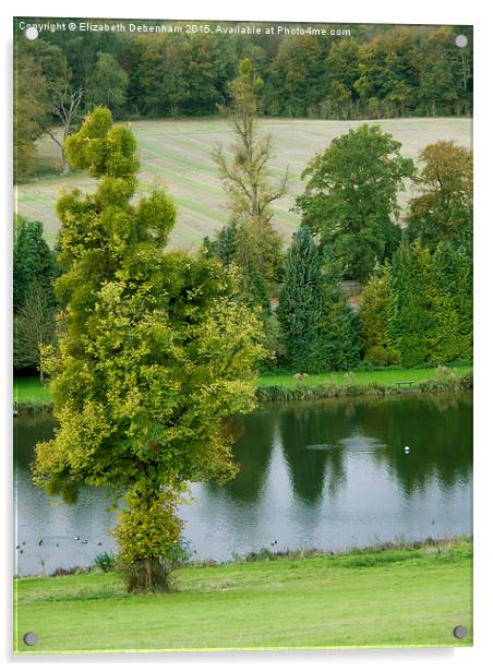  Mistletoe Tree by River Chess at Latimer. Acrylic by Elizabeth Debenham