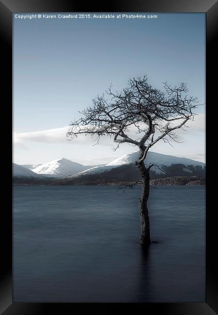  Lonely Tree Framed Print by Karen Crawford