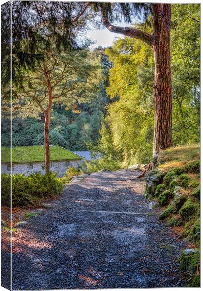 Autumn Sunlight  Canvas Print by Ian Mitchell