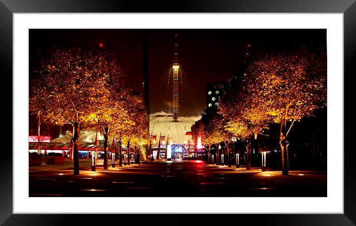  Autumn illuminations Framed Mounted Print by Squawk Photography