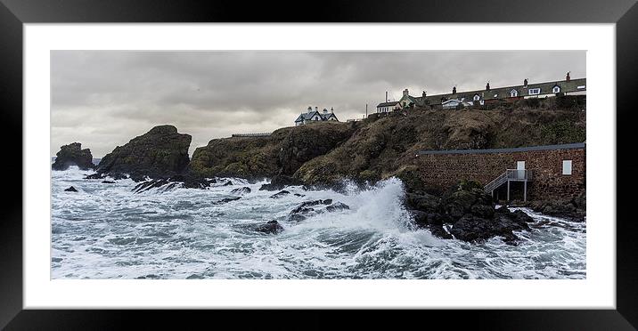  A Stormy day at St Abbbs Framed Mounted Print by Alan Whyte