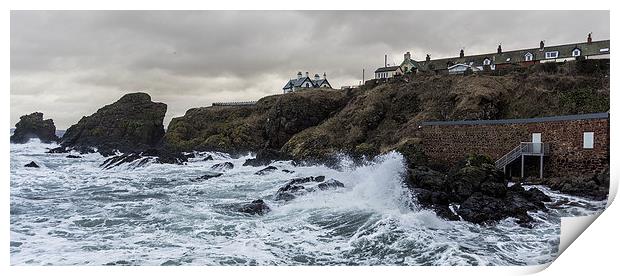 A Stormy day at St Abbbs Print by Alan Whyte